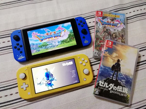 Nintendo Switch ドラゴンクエストXI S ロトエディション 購入: Call ...